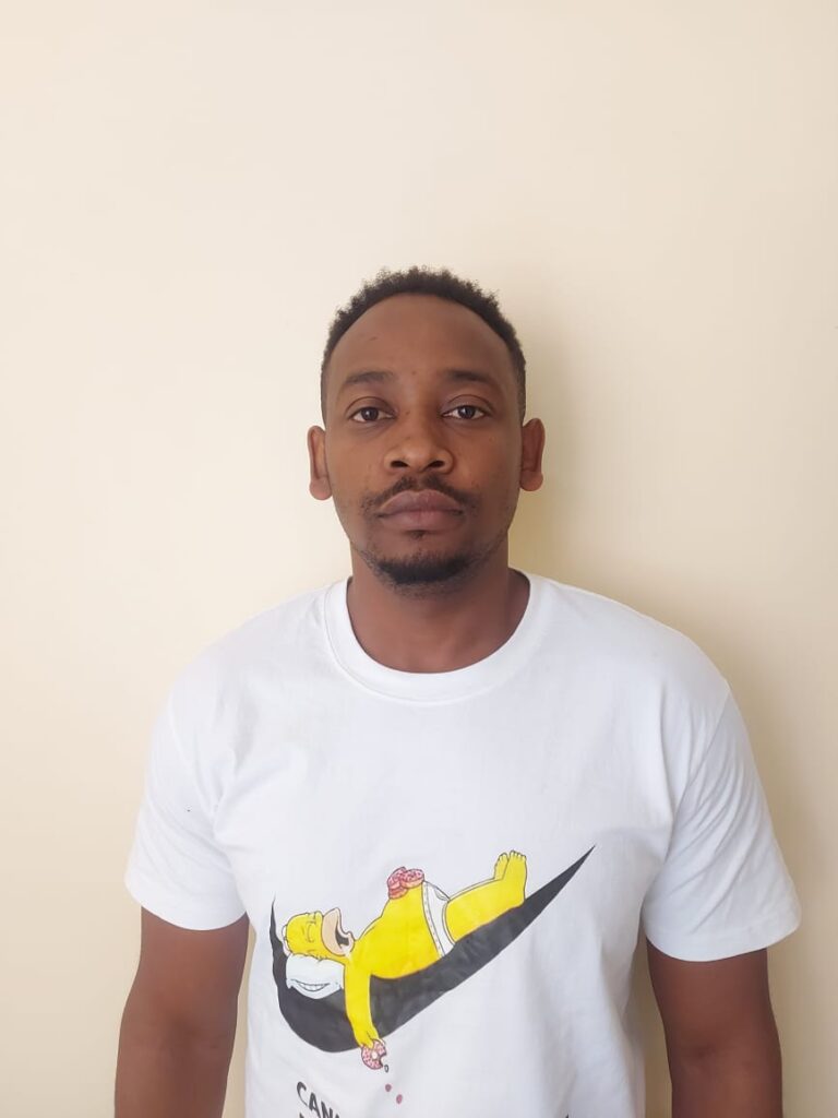 Elite Web Content Author